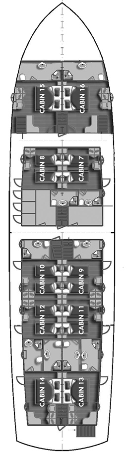 BARBARA Layout