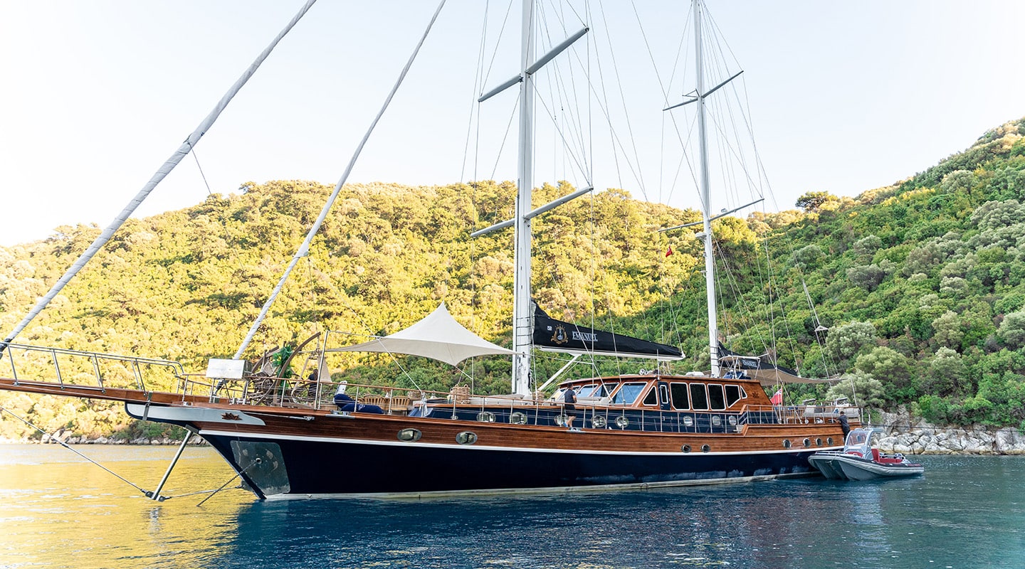 EMANUEL Anchored