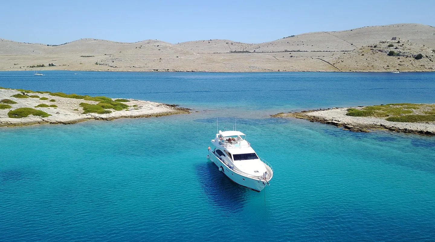 DOMINIQUE Anchored