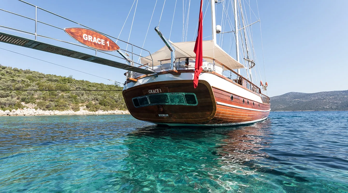 GRACE Anchored