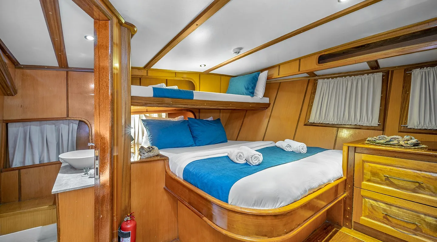 TERSANE 8 Triple cabin