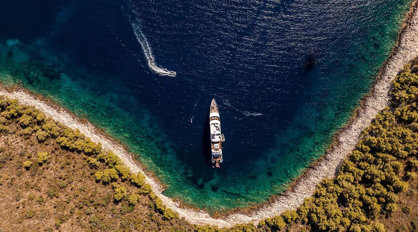 ALFA MARIO Aerial view