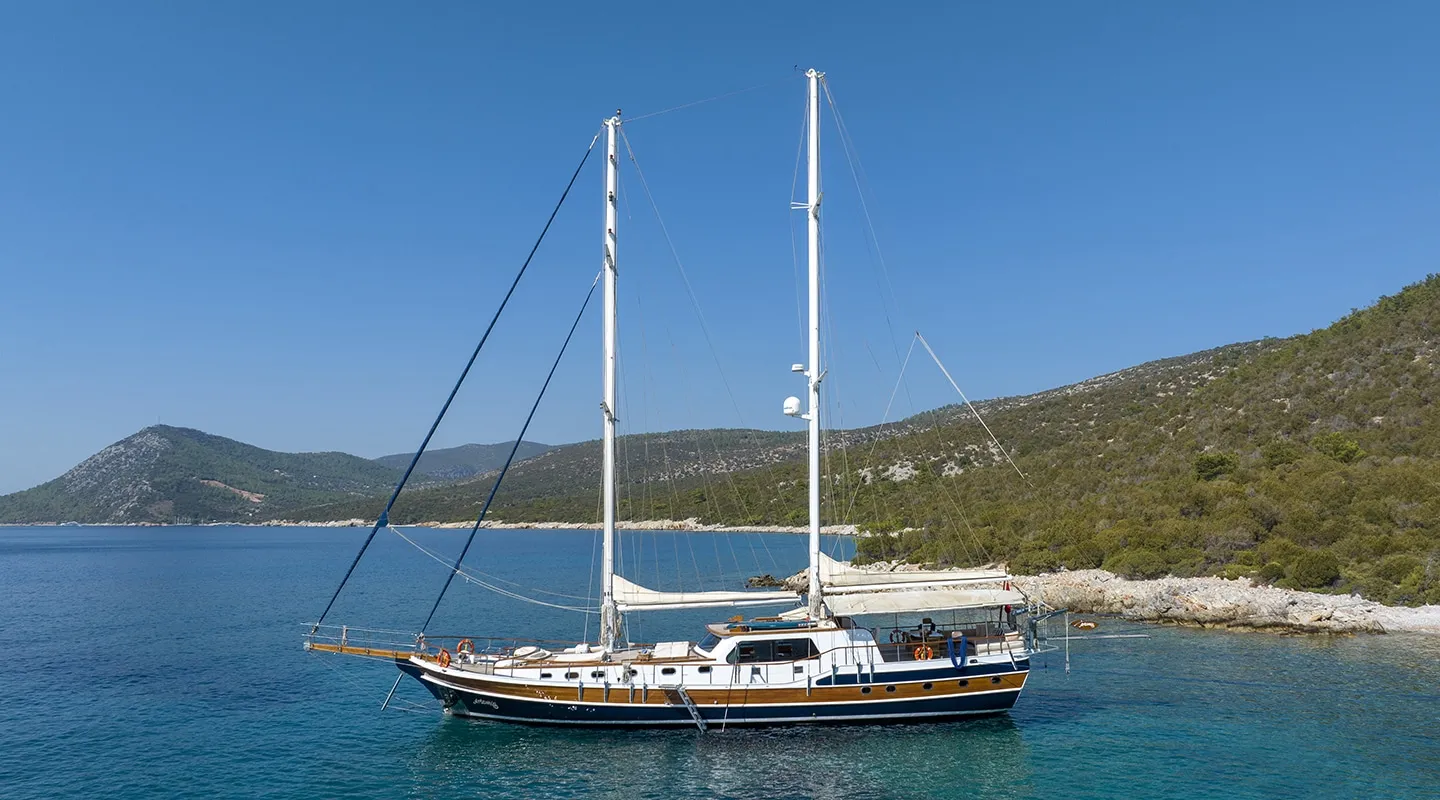 ARTEMIS Anchored