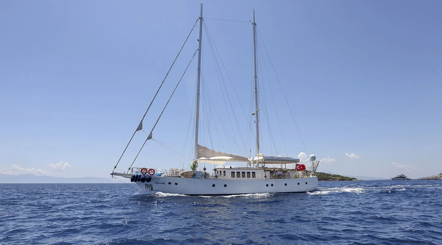GAZELLA Cruising