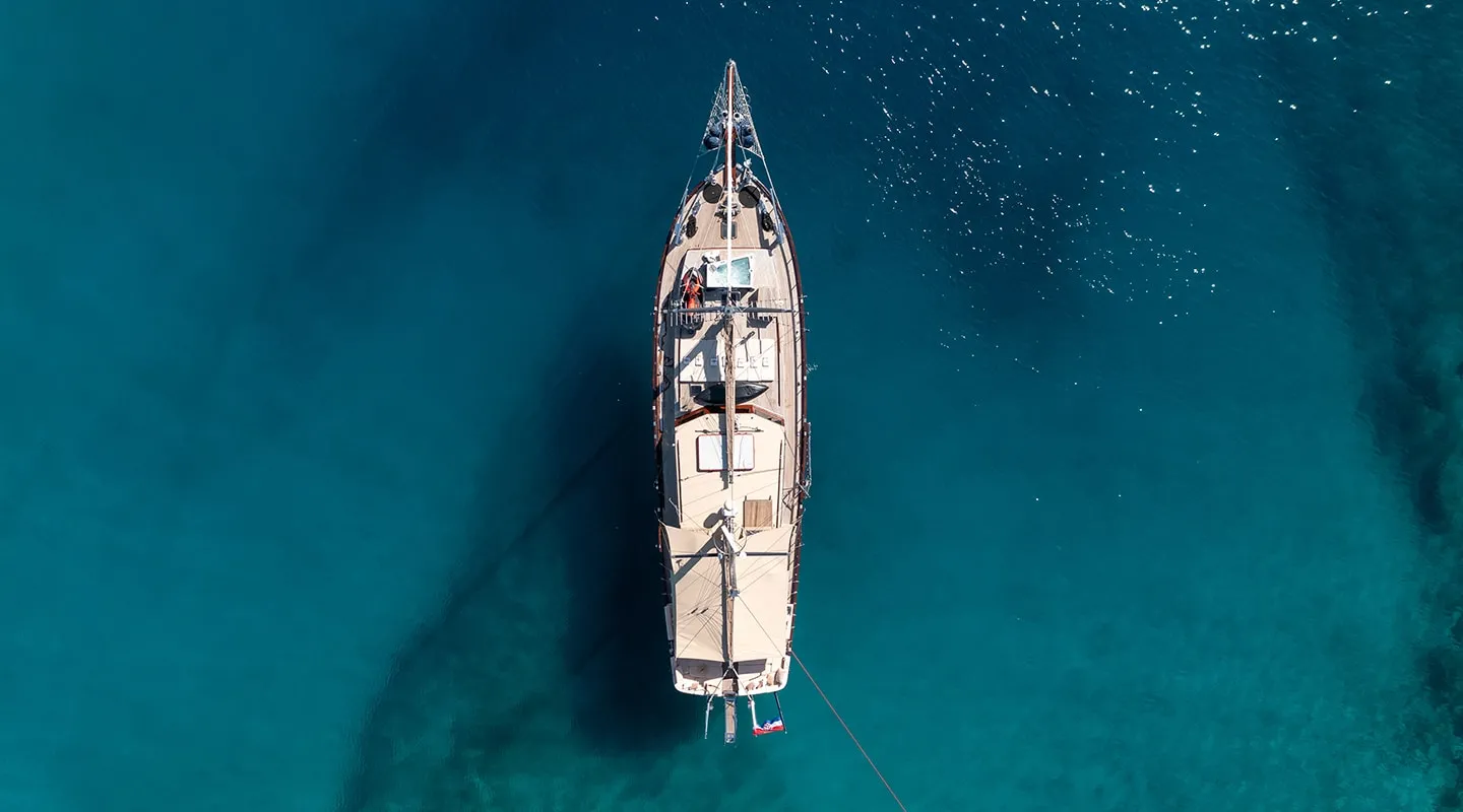 PACHA Aerial view