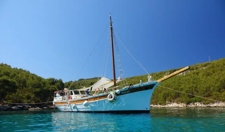 DOLIN Anchored