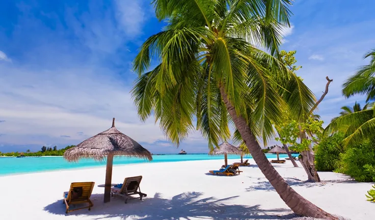 Deck-chairs-under-palm-trees-on-a-tropical-beach