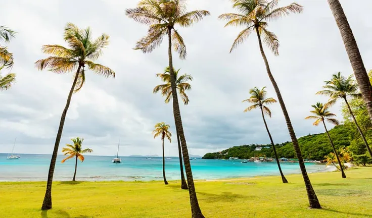 Idyllic-tropical-beach-with-white-sand-palm-trees-and-turquoise-Caribbean-sea-water-on-Mustique-island-in-St-Vincent-and-the-Grenadines