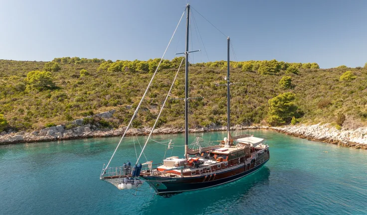 PACHA Anchored