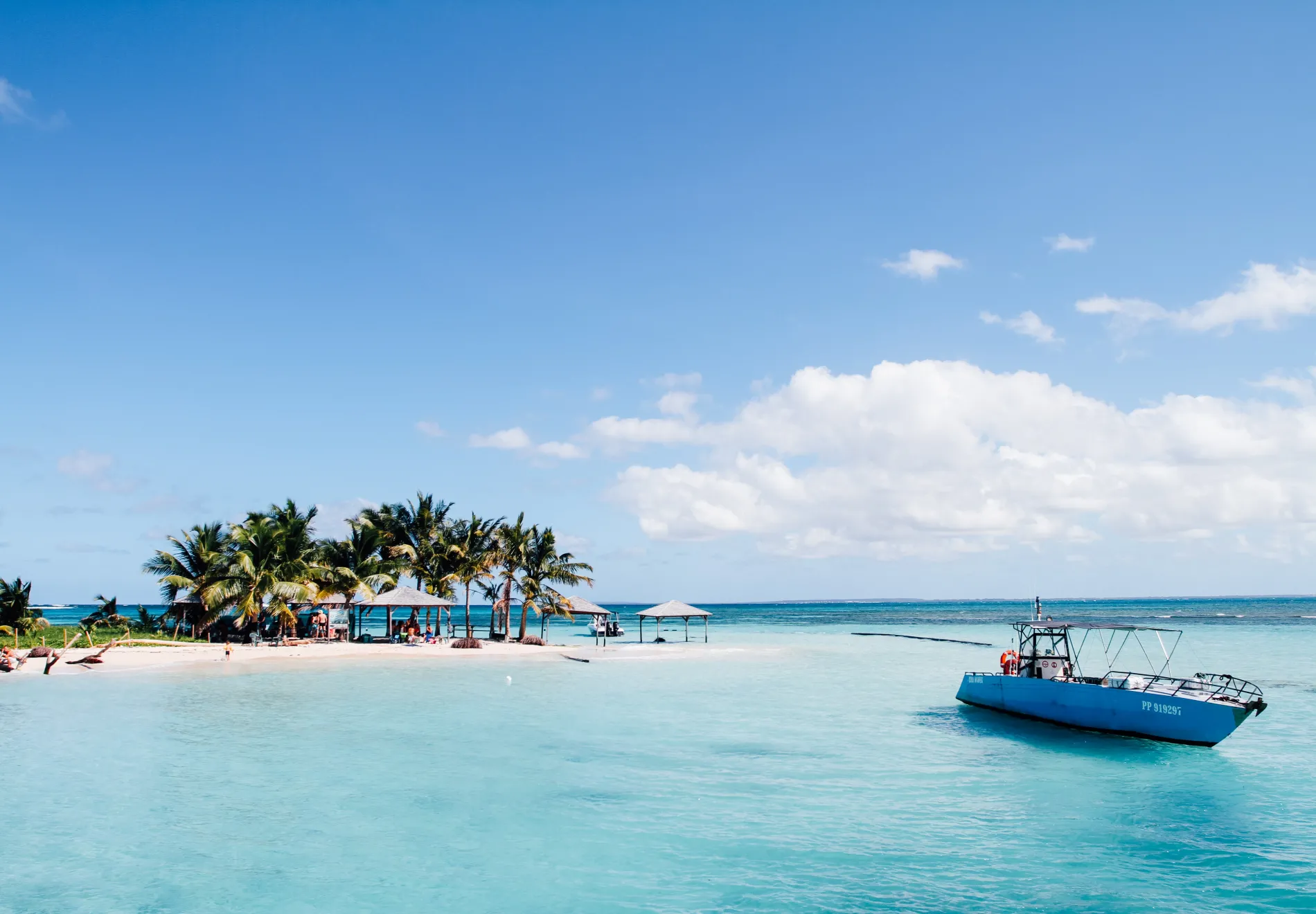 Explore the Shore: Party boat fine fishing vessel for experts, beginners