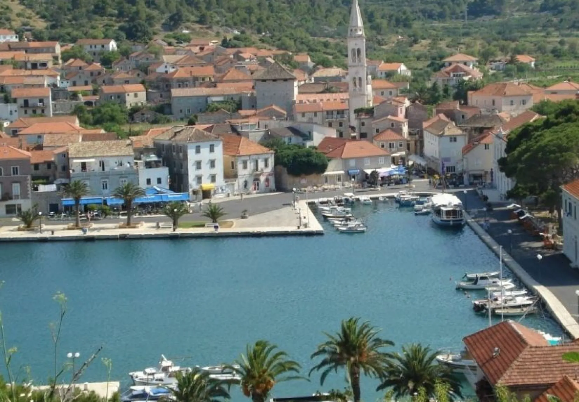 Hvar Jelsa CROP