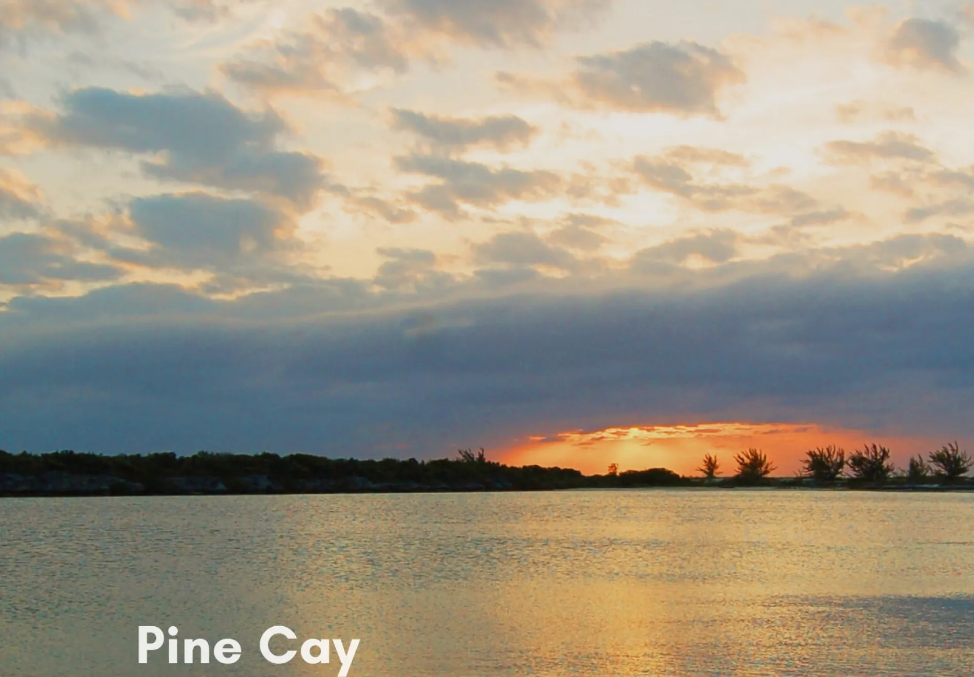 Pine Cay