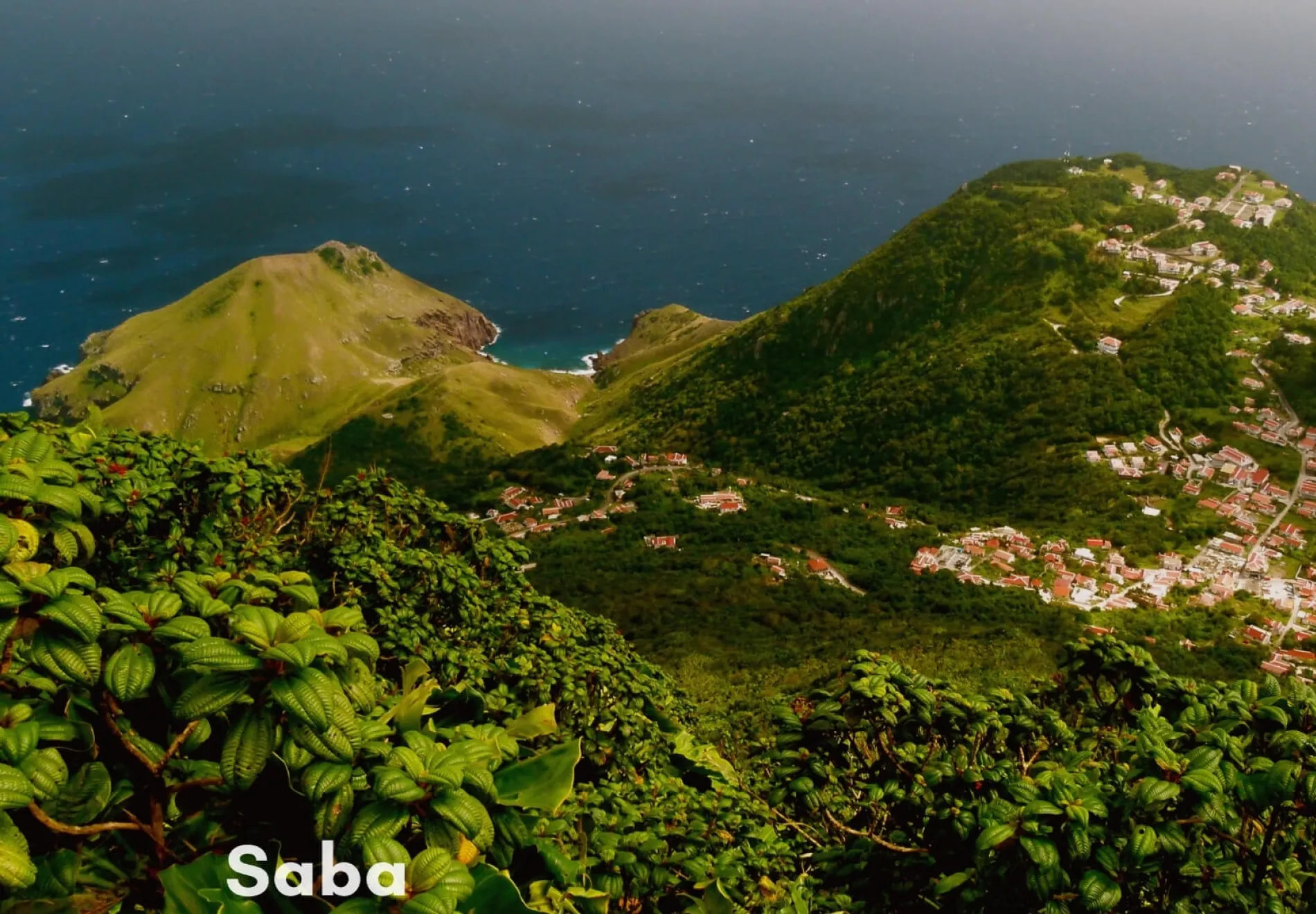 Saba