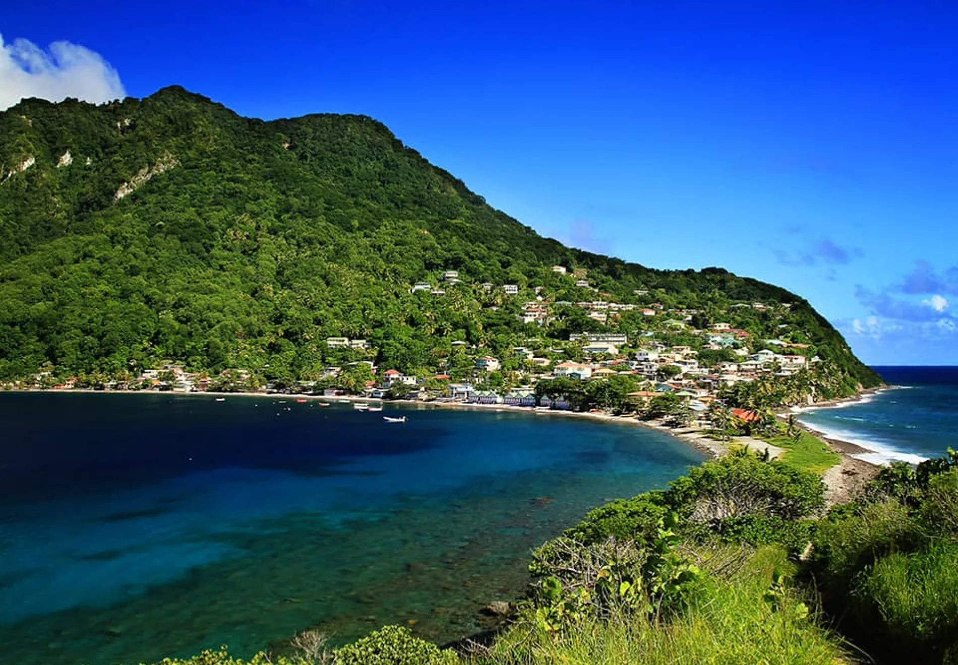 THE NORTHERN WINDWARD ISLANDS: Martinique, St. Lucia, Barbados