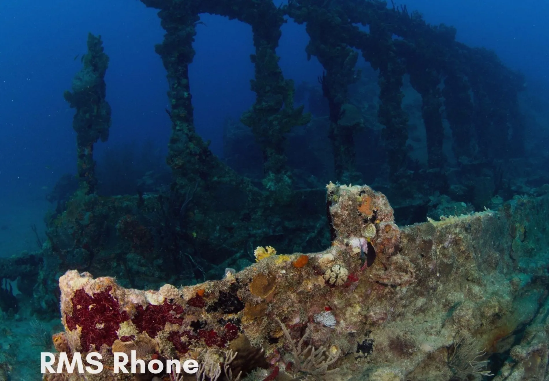 Wreck of the Rhone