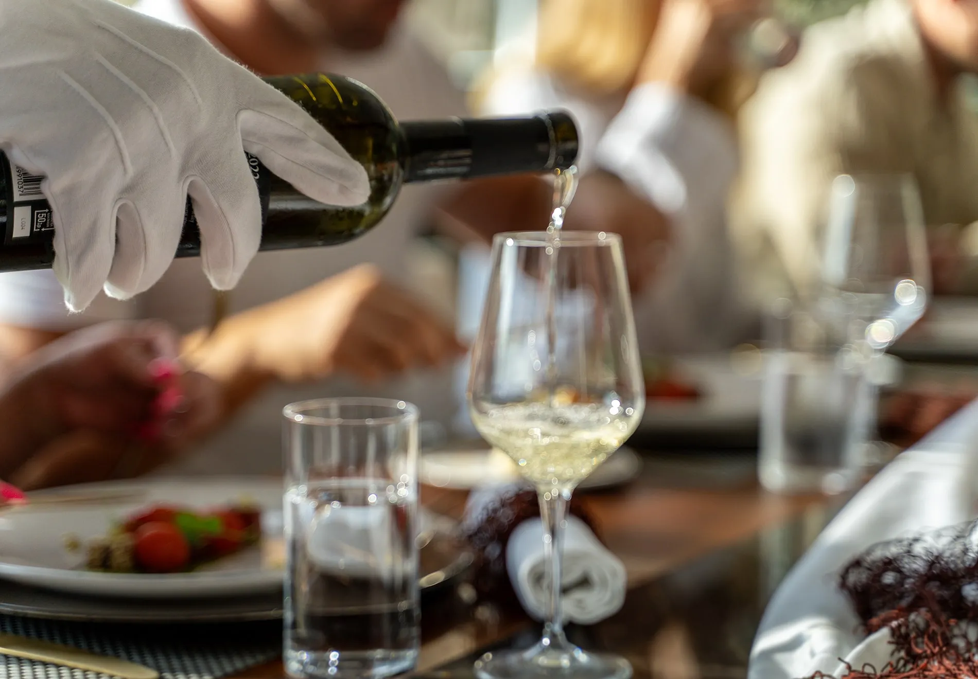 Culinary Delights & Wine Tastings