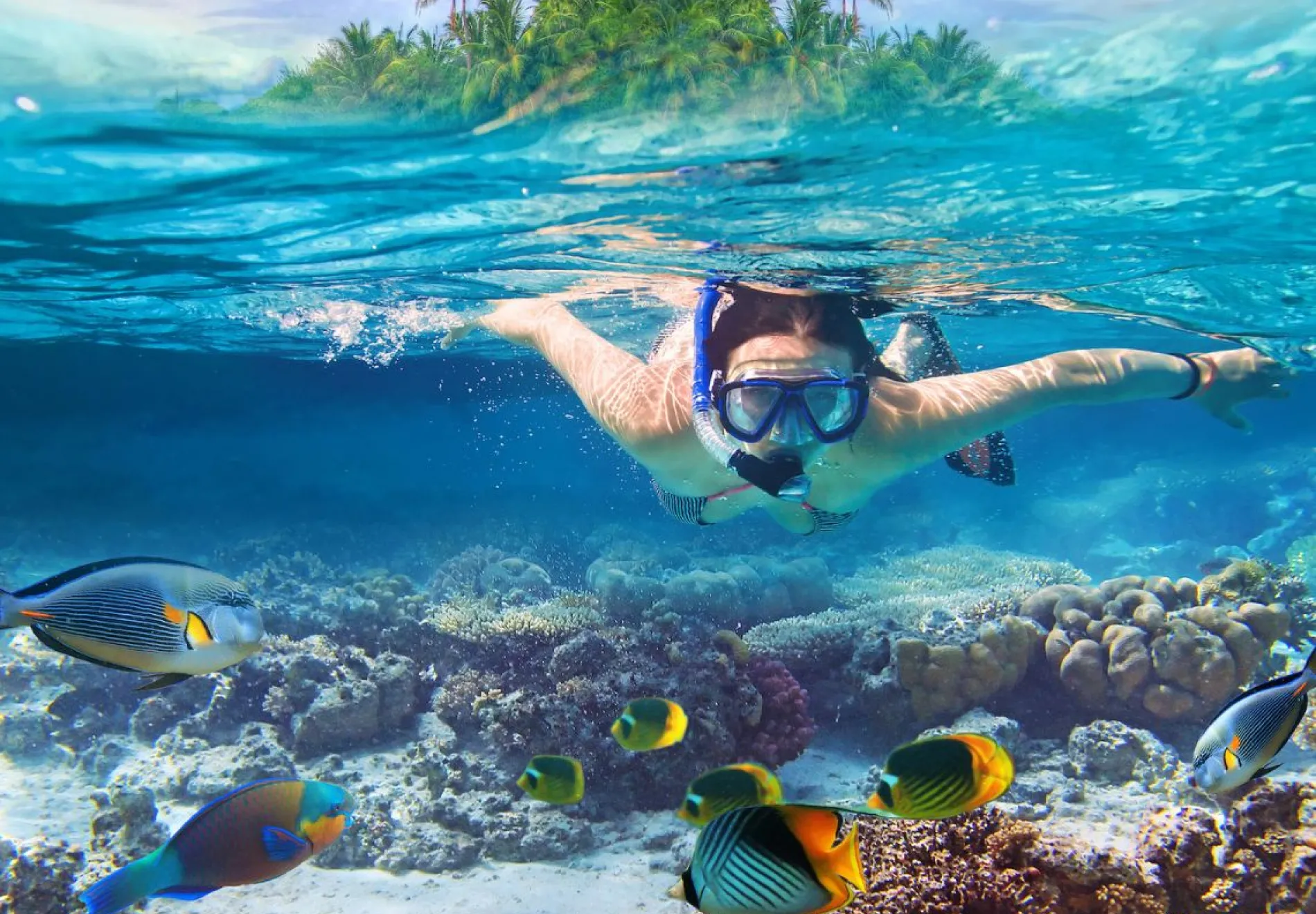 Snorkeling, Maldives