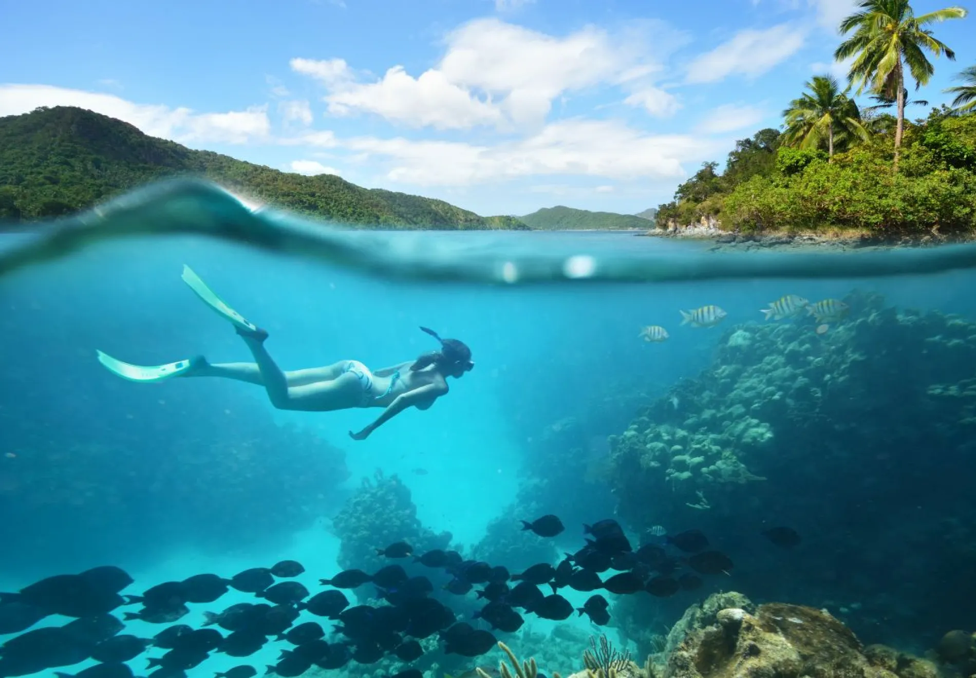 swimming-in-caribbean