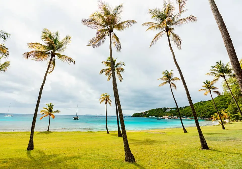 Idyllic-tropical-beach-with-white-sand-palm-trees-and-turquoise-Caribbean-sea-water-on-Mustique-island-in-St-Vincent-and-the-Grenadines