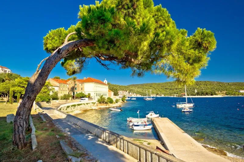 A coastal village with stone buildings, a tree with a curved trunk, a small pier, and boats anchored in clear blue water under a bright, cloudless sky. Lush green hills rise in the background.