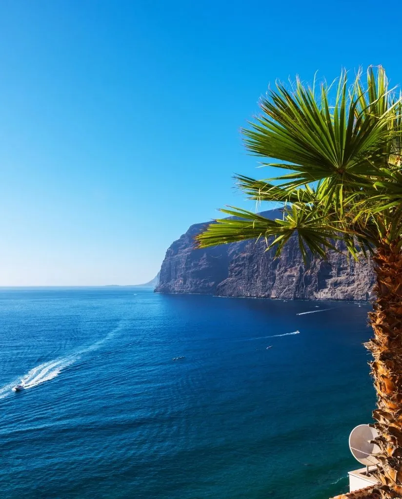 A sunny coastal scene with a palm tree in the foreground, blue ocean water, boats leaving white trails, and steep rocky cliffs in the background under a clear blue sky.