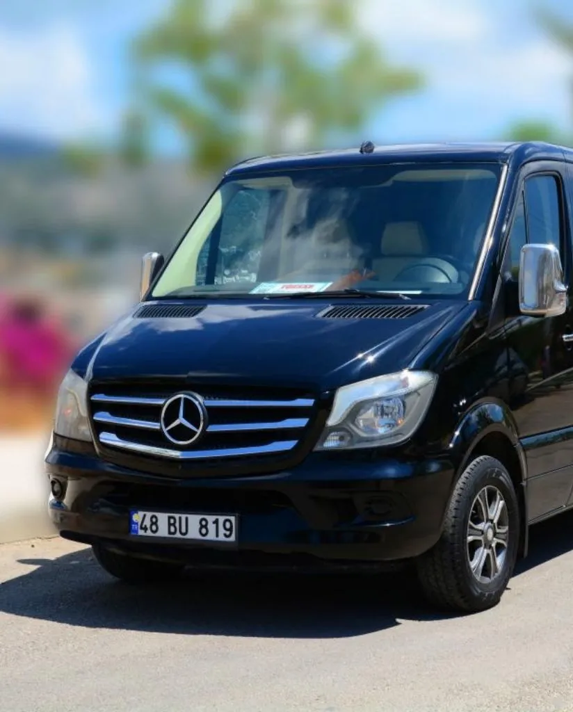 A black Mercedes-Benz van is parked on a sunny street, with a visible license plate reading 48 BU 819. The background is blurred, showing hints of trees and people.