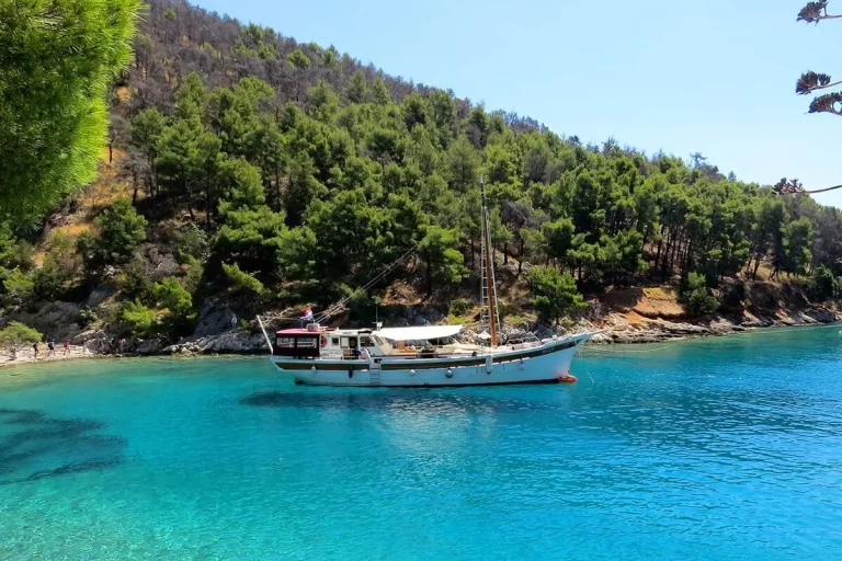 A white sailboat is anchored in clear turquoise water near a forested, hilly shoreline under a bright blue sky. Dense green trees cover the hillside, and sunlight reflects off the calm sea.