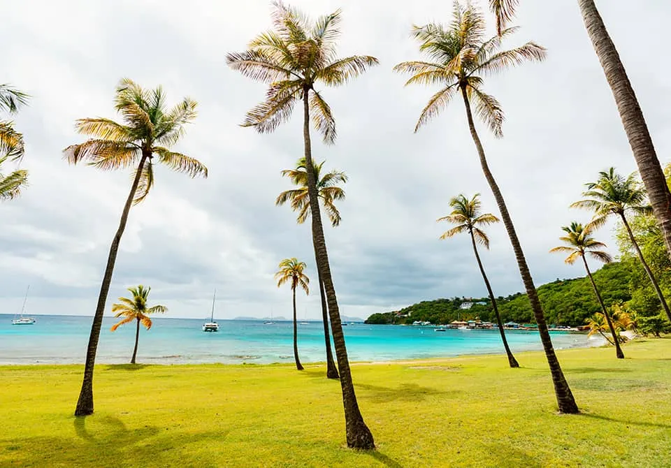 Tall palm trees stand on a grassy beach overlooking turquoise water, with sailboats anchored offshore and green hills in the background under a cloudy sky.