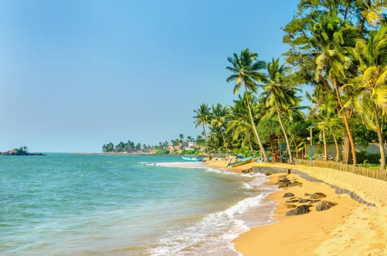 A tropical beach with golden sand, gentle waves, and clear blue sea, bordered by lush green palm trees under a bright, sunny sky. A few boats and small buildings are visible in the distance along the coast.