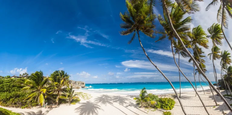 Tropical beach with white sand, turquoise ocean waves, and tall palm trees under a bright blue sky with wispy clouds. Lush greenery borders the beach on one side.