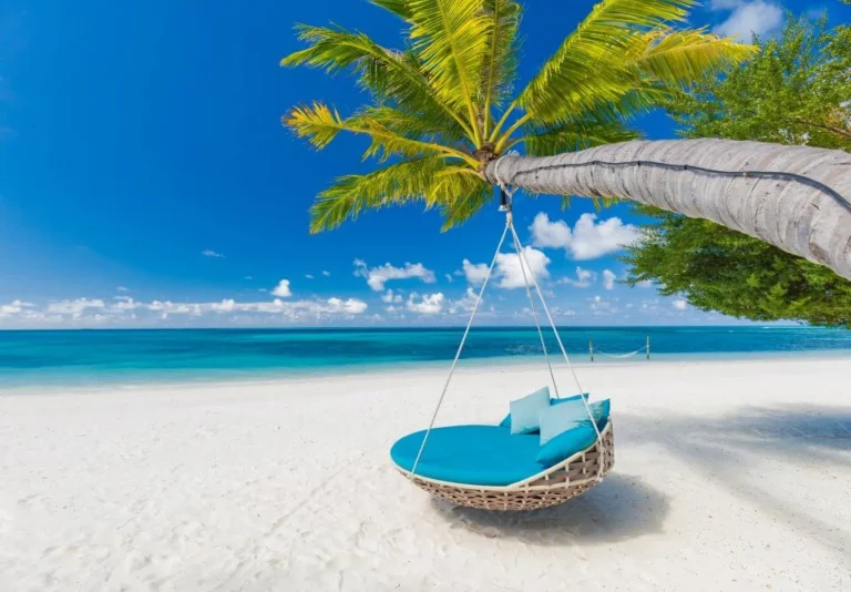 A round wicker swing with blue cushions hangs from a leaning palm tree on a white sandy beach, overlooking clear turquoise water and a bright blue sky with a few clouds.