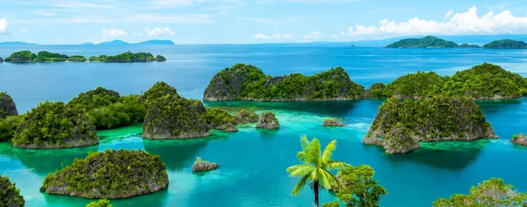 A tropical seascape with bright blue water, small lush green islands, and a palm tree in the foreground under a blue sky with scattered clouds.
