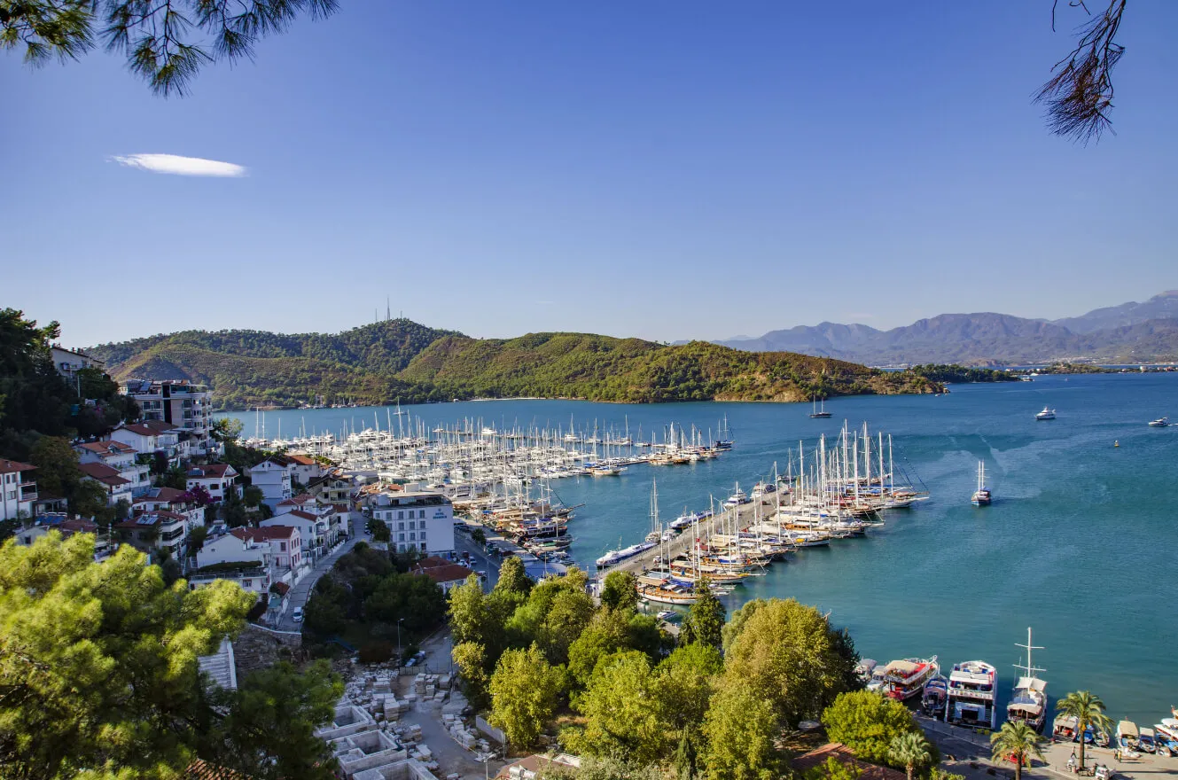 A scenic coastal marina with numerous sailboats docked, surrounded by lush green hills, white buildings with red roofs, and clear blue water under a bright sky.