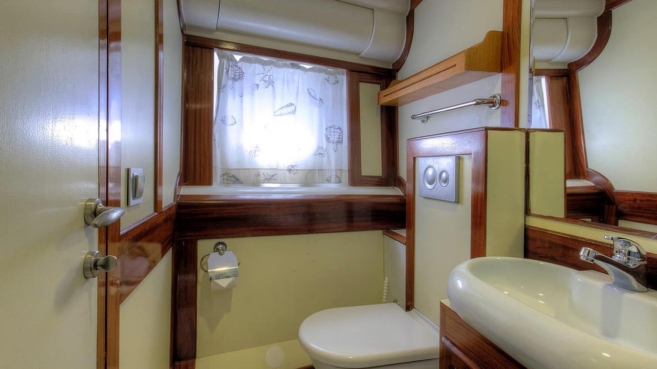 ANGELO II A small bathroom with a toilet, sink, mirror, wall-mounted shelves, toilet paper holder, and a window with a white curtain featuring a subtle print. The room has wood accents and neutral-colored walls.