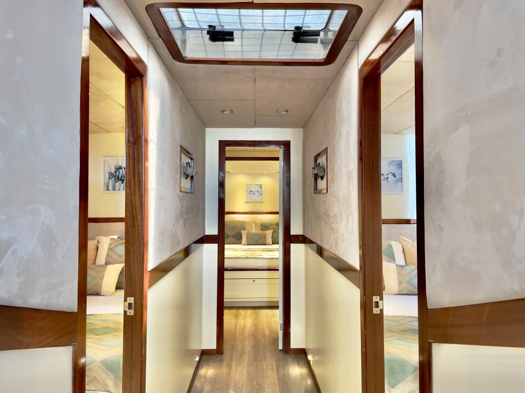 A hallway with wooden trim leads to a bedroom with a neatly made bed. Two open doors on each side reveal additional rooms, and a skylight above lets natural light in. The interior has a modern, cozy design.