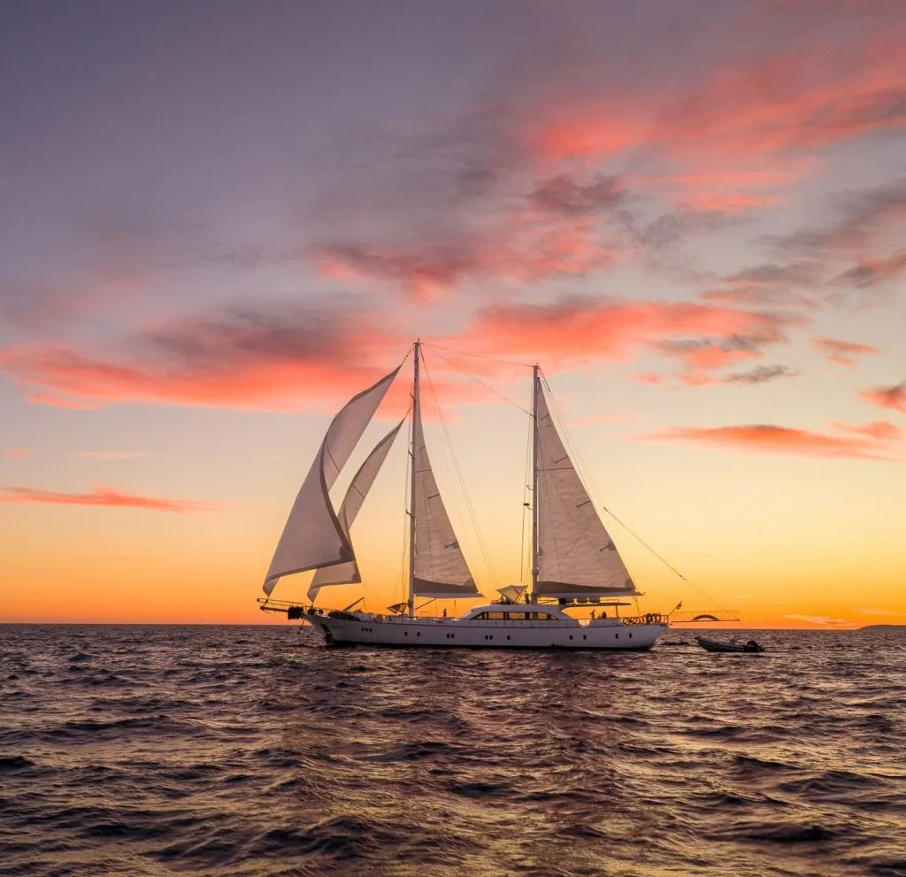A large sailboat with white sails glides across calm ocean water at sunset, with vibrant pink and orange clouds in the sky.