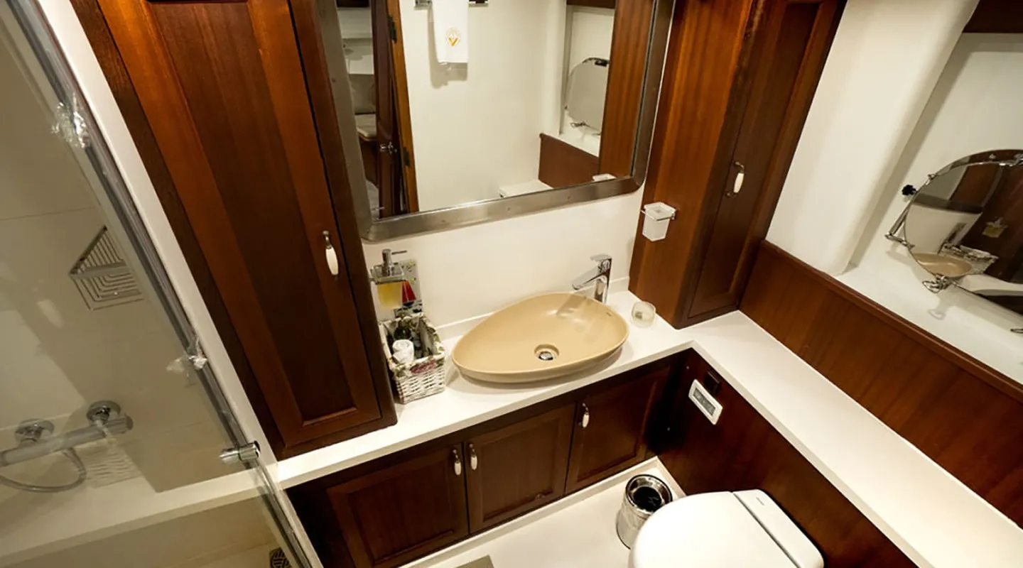 A modern bathroom with wood-paneled cabinets, a beige oval sink, a mirror above the sink, a white countertop, and a toilet. A glass shower enclosure is visible on the left side.