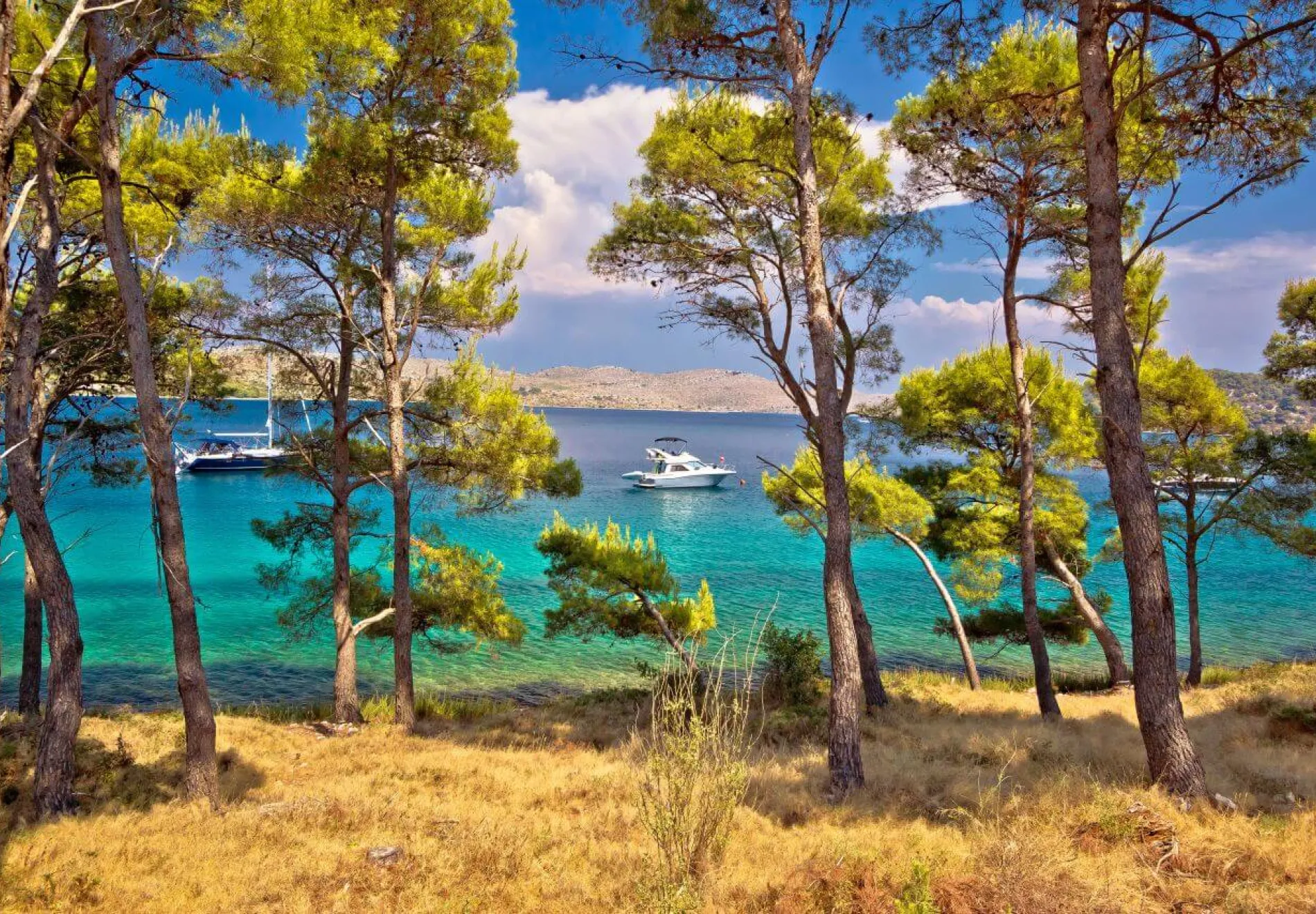 Telascica flora and fauna