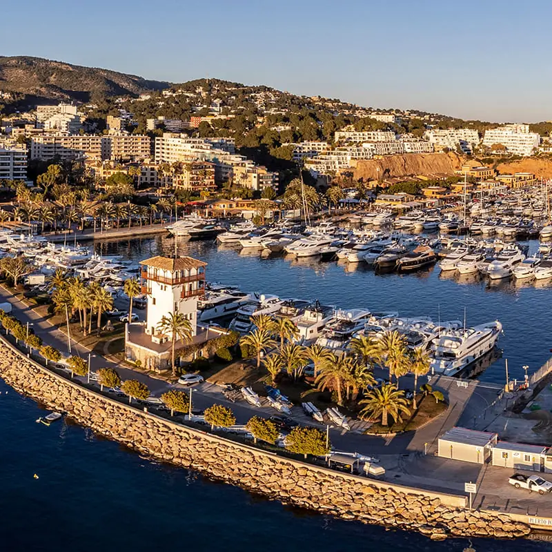 A marina filled with boats and yachts, surrounded by palm trees and buildings on a sunny day, with hills in the background.