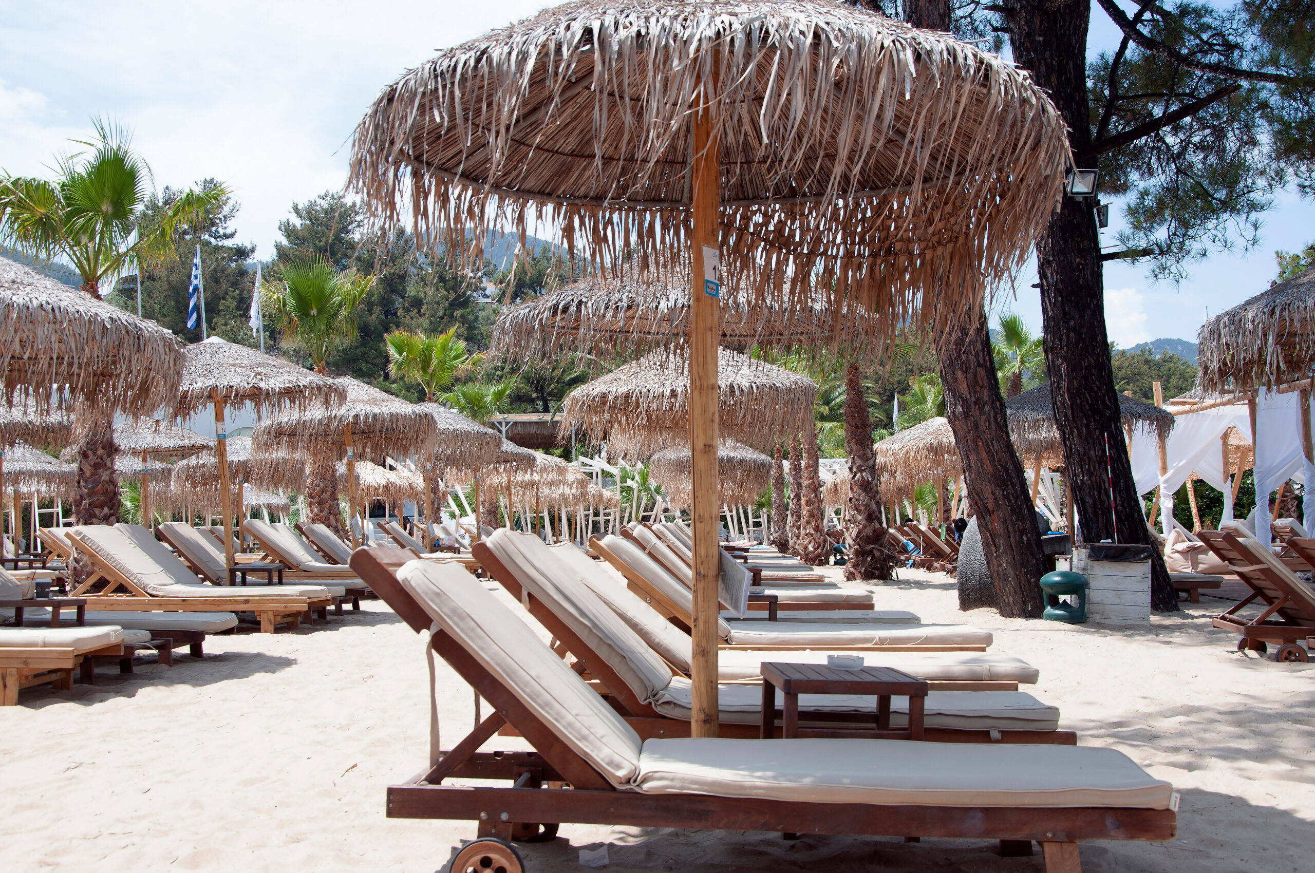 Rows of empty wooden lounge chairs with cushions sit under large thatched umbrellas on a sandy beach, surrounded by palm trees and greenery, on a bright sunny day.