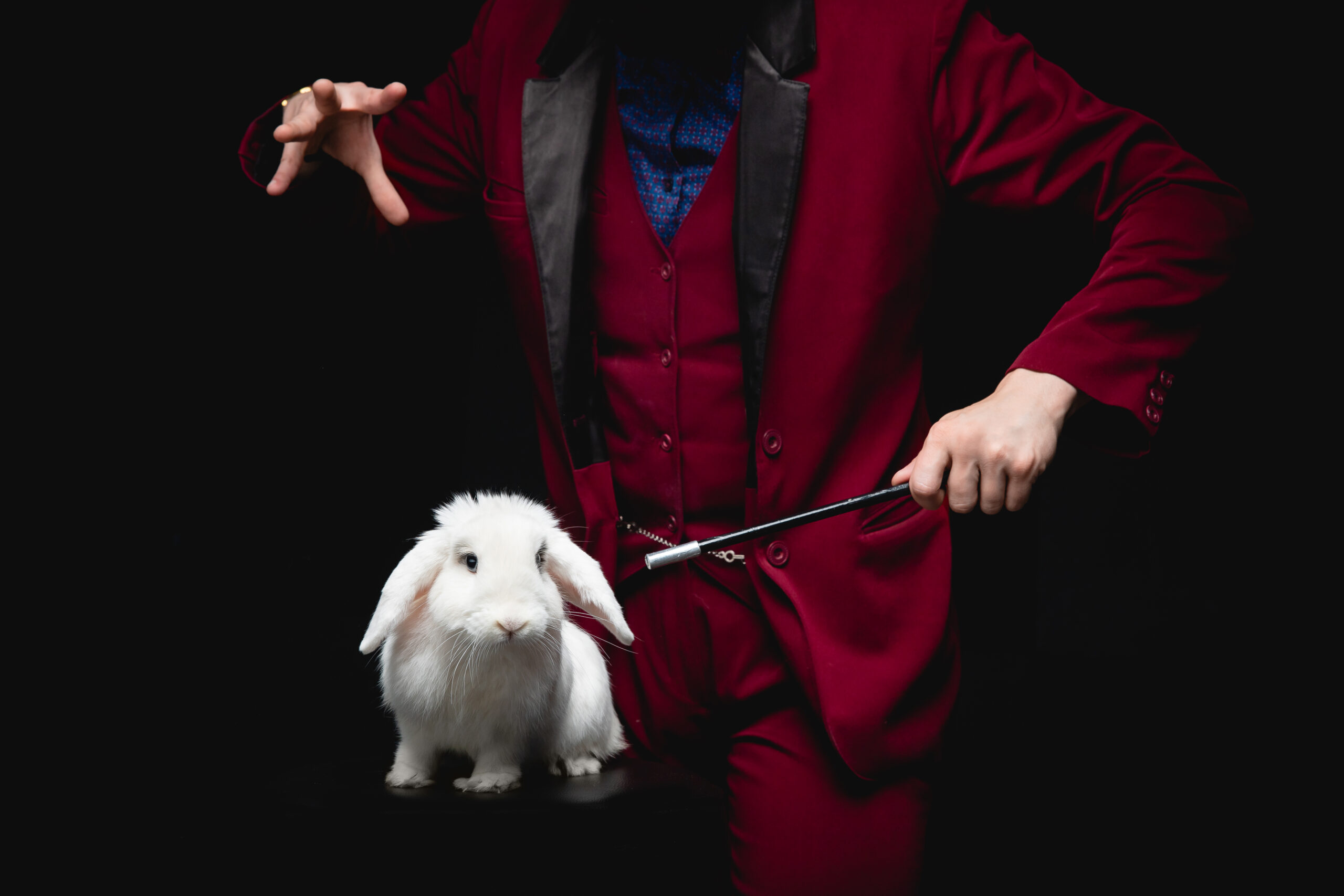 A person in a red suit performs a magic trick, holding a wand near a white rabbit sitting in front of them against a black background.