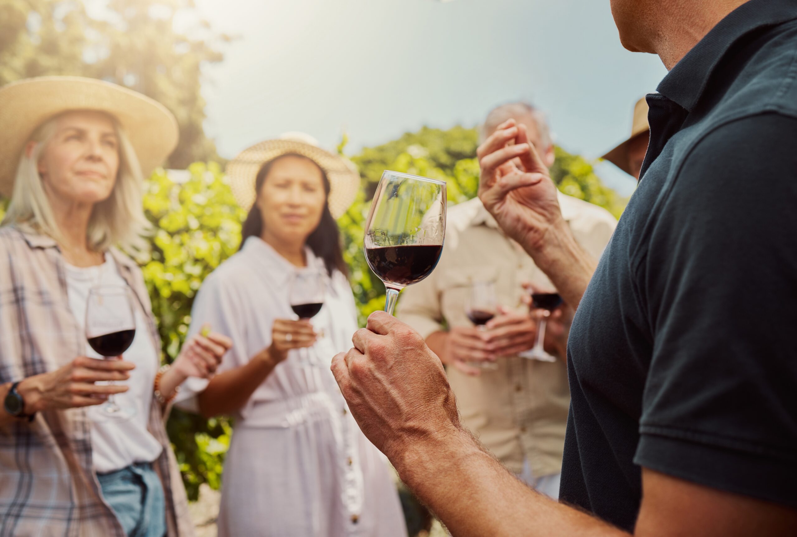 A group of adults standing outdoors, holding glasses of red wine and listening to a man speak, with vineyards and greenery in the background on a sunny day.