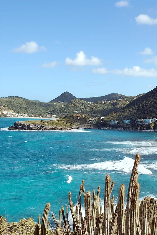 Blue ocean waves crash against a rocky coastline with houses on hills in the background. Cacti are in the foreground under a bright sky with scattered clouds.