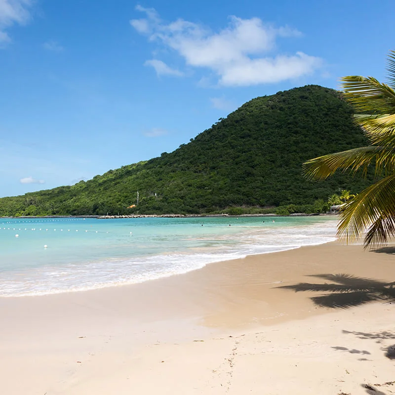 A sandy beach with clear turquoise water, gentle waves, and a lush green hill in the background. Palm trees provide shade under a bright blue sky with a few scattered clouds.