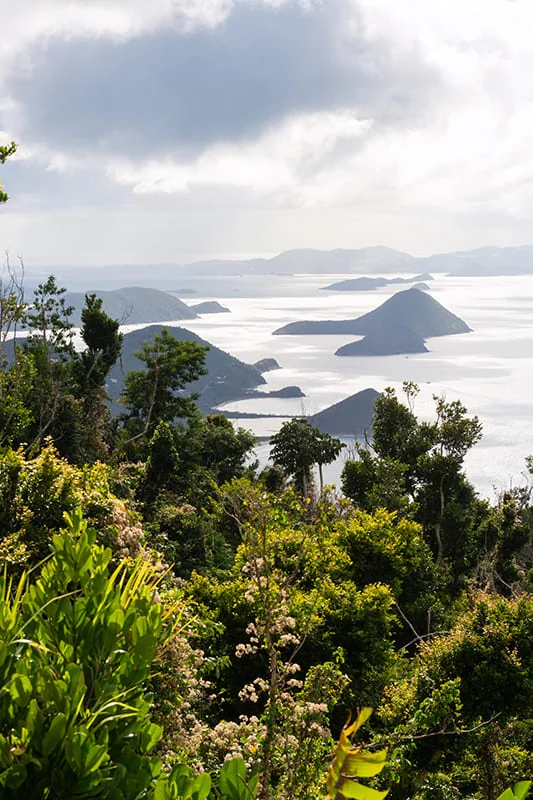 Lush green trees in the foreground frame a view of small, lush islands scattered across a calm, shimmering sea under a cloudy sky.