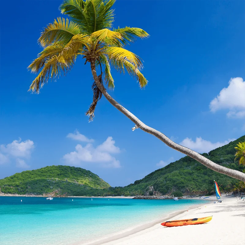 A tall palm tree leans over a sandy beach with turquoise water, a yellow kayak on the shore, and green hills in the background under a bright blue sky with scattered clouds.