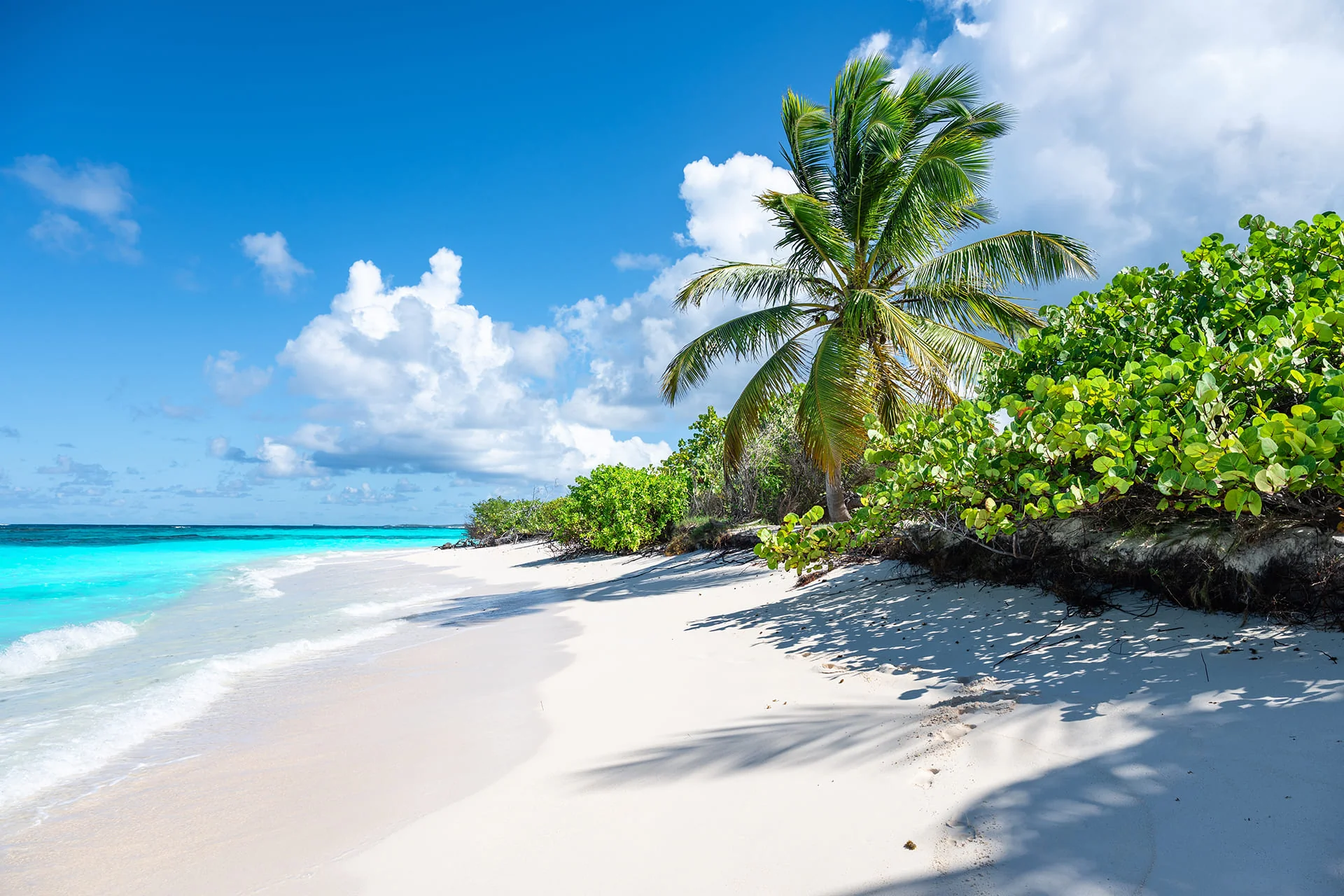 Sint Maarten Round Trip