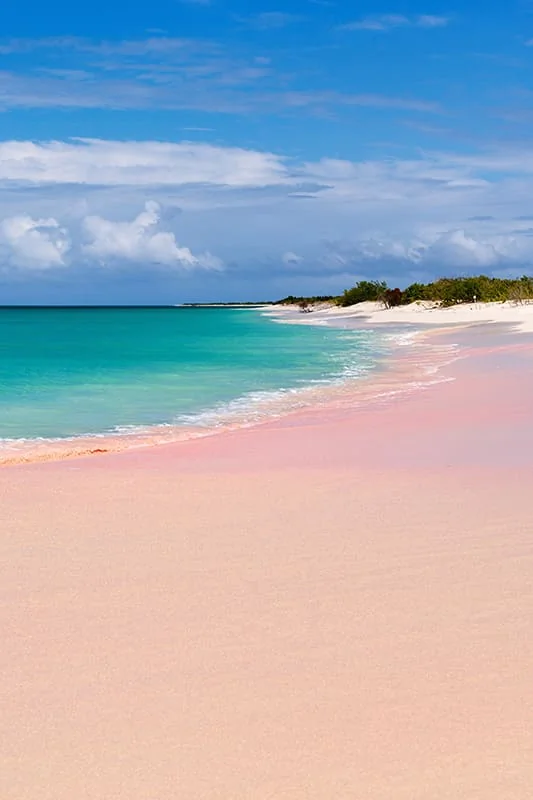 A serene beach with pink sand, turquoise water, gentle waves, and a partly cloudy sky; lush greenery lines the shoreline in the distance.